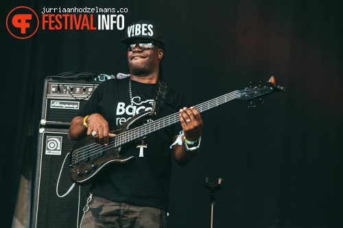Dour Festival 2015 - Zaterdag foto