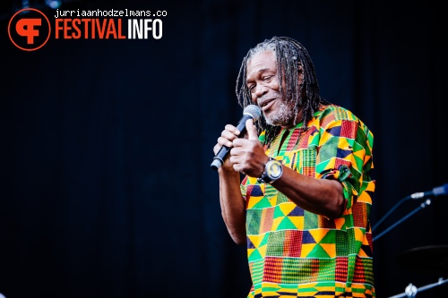 Dour Festival 2015 - Zaterdag foto