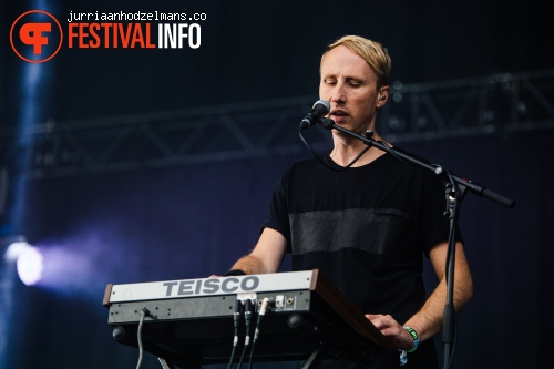 Dour Festival 2015 - Zaterdag foto