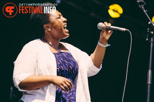 Dour Festival 2015 - Zaterdag foto