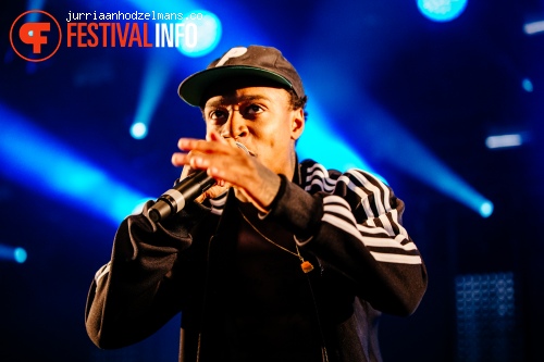 Dour Festival 2015 - Zondag foto