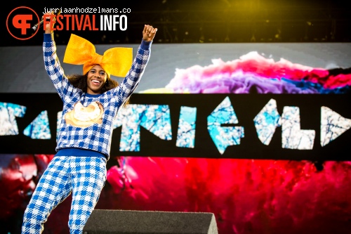 Dour Festival 2015 - Zondag foto