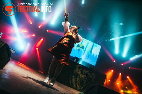 Dour Festival 2015 - Zondag foto