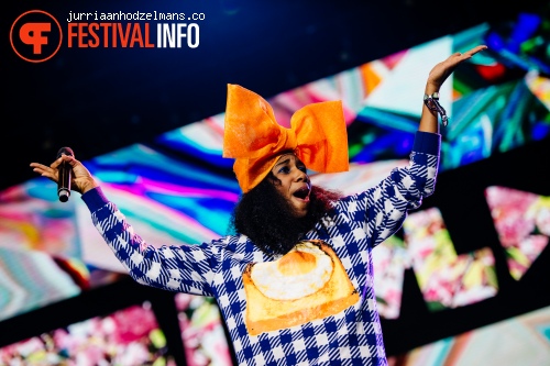 Dour Festival 2015 - Zondag foto