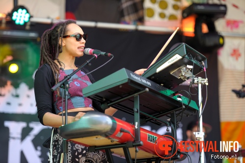 The Skints op Welcome To The Village 2015 - zaterdag foto