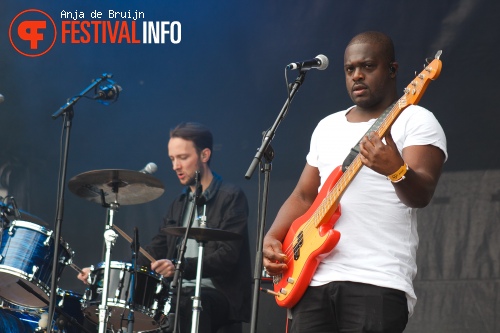 Causes op Damaris Festival 2015 foto