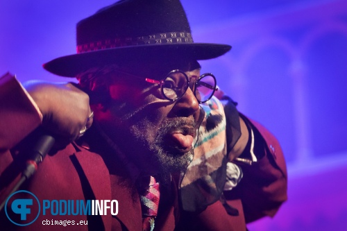 George Clinton & Parliament Funkadelic op George Clinton & Parliament Funkadelic - 27/07 - Paradiso foto