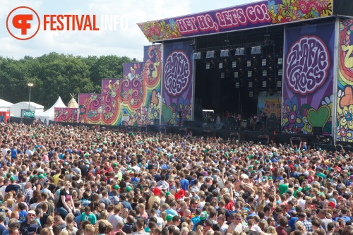 Zwarte Cross 2015 - Zondag foto