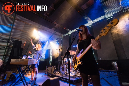 The Indien op Lowlands 2015 - vrijdag foto