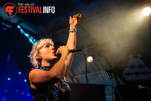 Vaults op Lowlands 2015 - vrijdag foto