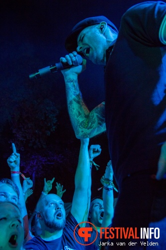 Dropkick Murphys op Nirwana Tuinfeest - Vrijdag foto