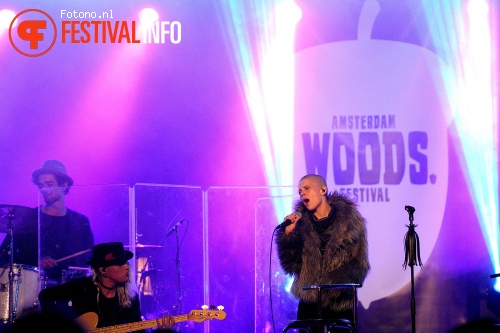 Foto Kovacs op Amsterdam Woods Festival 2015 - vrijdag