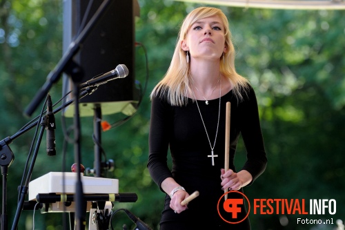 Postcards From Mars op Amsterdam Woods Festival 2015 - zaterdag foto