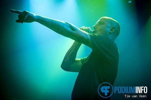 Foto Steen op Steen - 11/9 - De Helling
