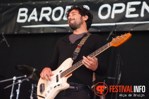 Gingerpig op Baroeg Open Air 2015 foto