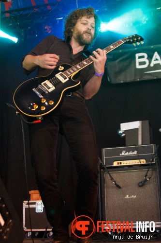 Gingerpig op Baroeg Open Air 2015 foto