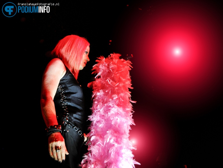 Foto Garbage op Garbage - 20 Years Queer - 013