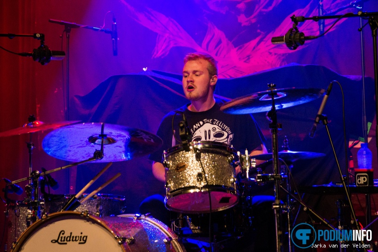 Sparrow Falls op Therapy? - 14/11 - Grenswerk foto