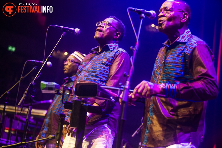 Orchestre Poly-Rythmo de Cotonou op Le Guess Who? 2015 - Zaterdag foto