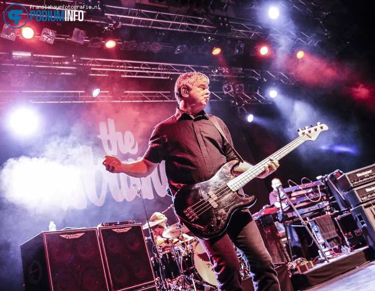 The Stranglers op The Stranglers - 20/11 - Effenaar foto