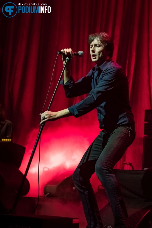 Suede op Suede - 29/1 - Paradiso foto