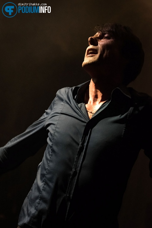 Suede op Suede - 29/1 - Paradiso foto
