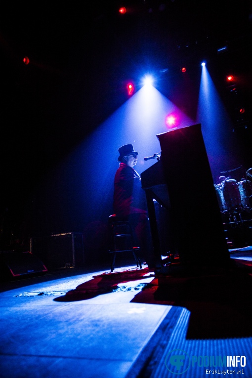 Toto op Toto - 11/02 - 013 foto