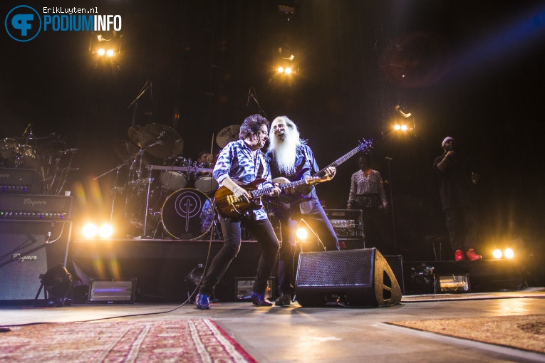Toto op Toto - 11/02 - 013 foto