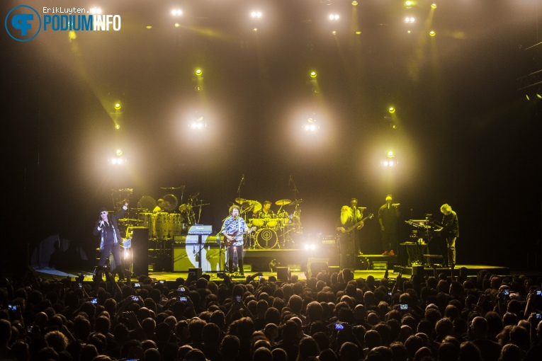 Toto op Toto - 11/02 - 013 foto