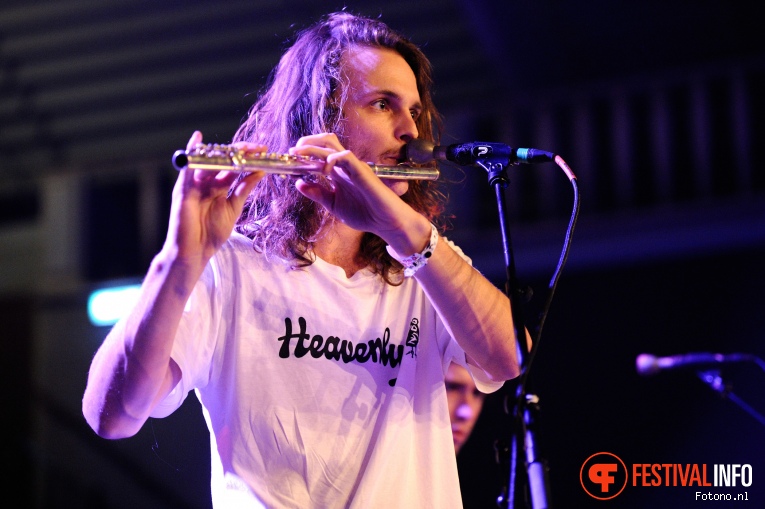 King Gizzard & The Lizard Wizard op Where The Wild Things Are 2016 - Vrijdag foto