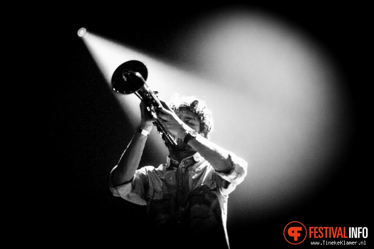 Foto Jungle By Night op Transition 2016