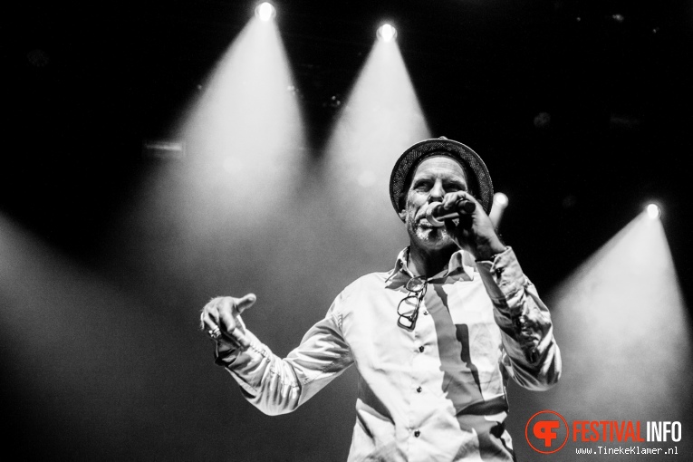 Foto Jungle By Night op Transition 2016