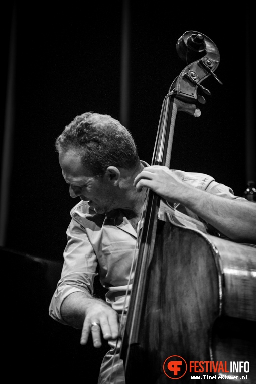 Avishai Cohen Trio op Transition 2016 foto