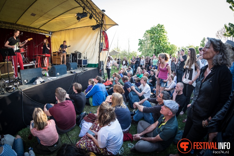 Bevrijdingsfestival Overijssel 2016 foto