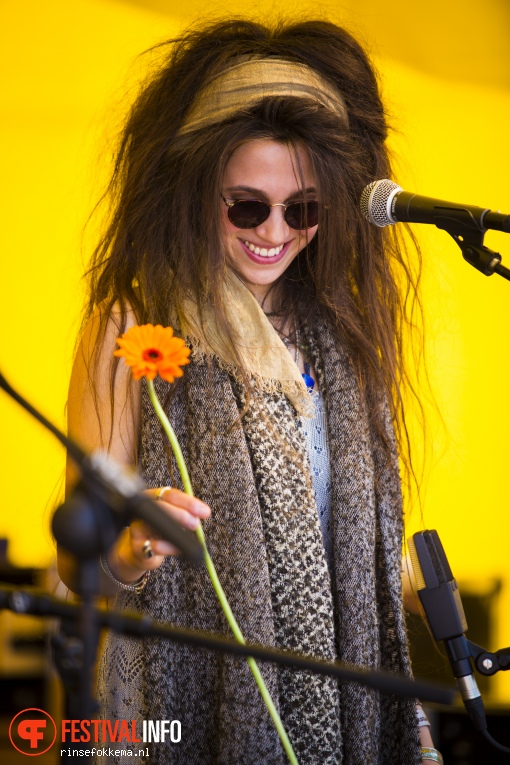 All the King's Daughters op Bevrijdingsfestival Overijssel 2016 foto