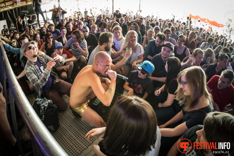 De Likt op Bevrijdingsfestival Overijssel 2016 foto