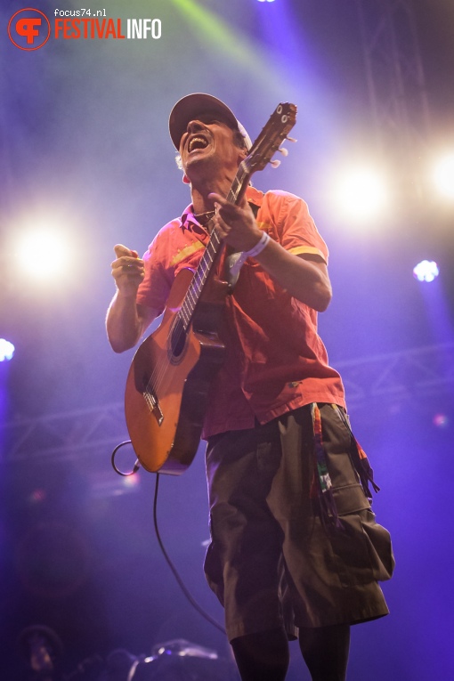 Manu Chao op Bevrijdingsfestival Overijssel 2016 foto