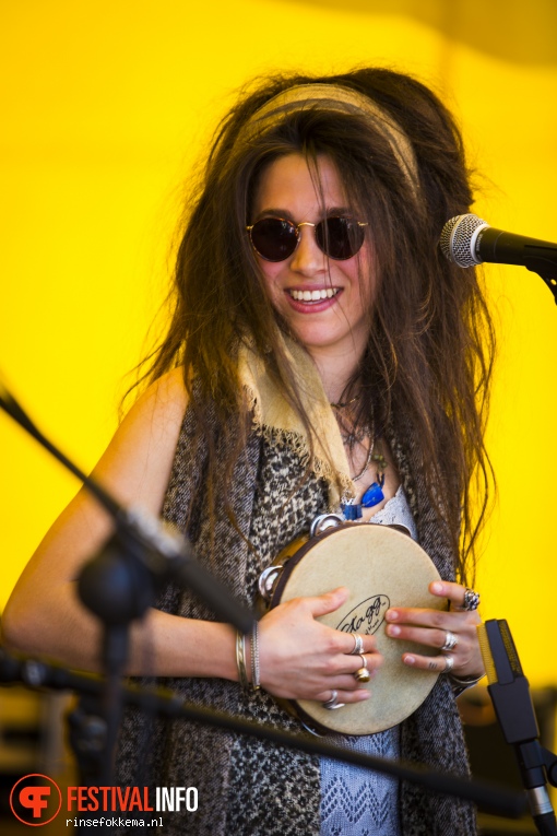 All the King's Daughters op Bevrijdingsfestival Overijssel 2016 foto