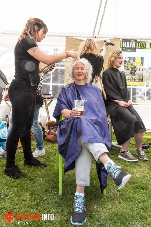 Bevrijdingsfestival Overijssel 2016 foto