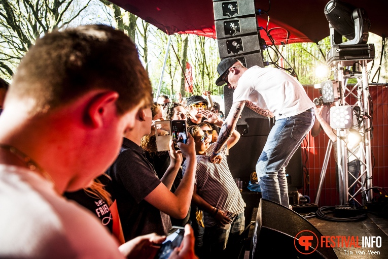 Steen op Bevrijdingsfestival Utrecht 2016 foto