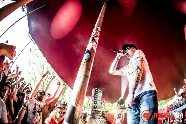 Steen op Bevrijdingsfestival Utrecht 2016 foto