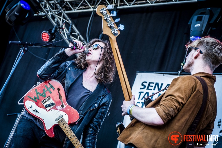 Lucas Hamming op Bevrijdingsfestival Utrecht 2016 foto