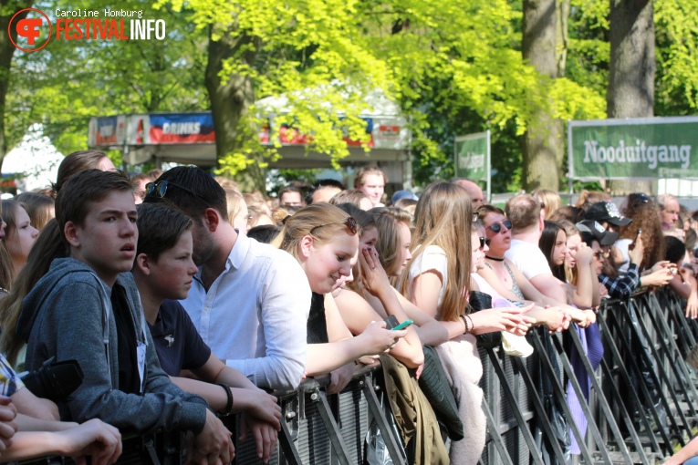 Bevrijdingspop Haarlem 2016 foto