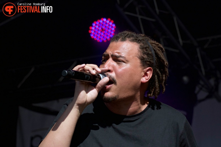 Fresku op Bevrijdingspop Haarlem 2016 foto