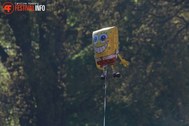 Bevrijdingspop Haarlem 2016 foto