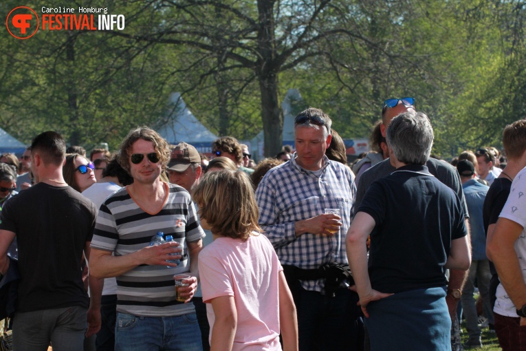 Bevrijdingspop Haarlem 2016 foto