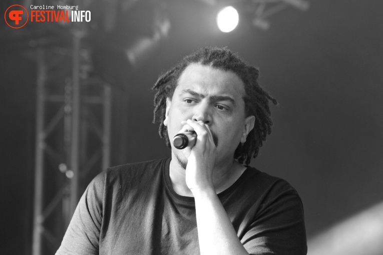 Fresku op Bevrijdingspop Haarlem 2016 foto