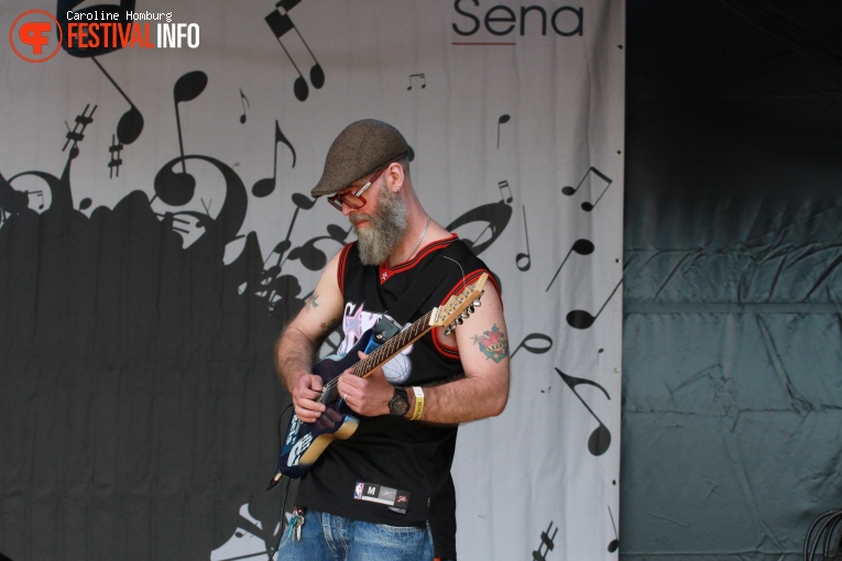 Bevrijdingspop Haarlem 2016 foto