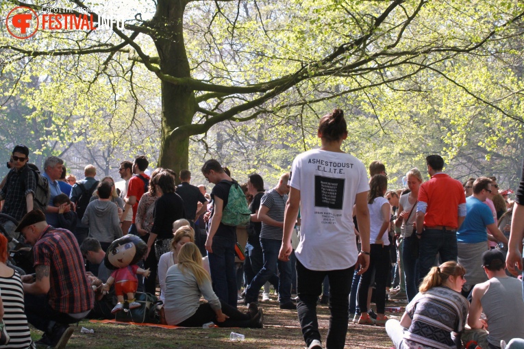 Bevrijdingspop Haarlem 2016 foto