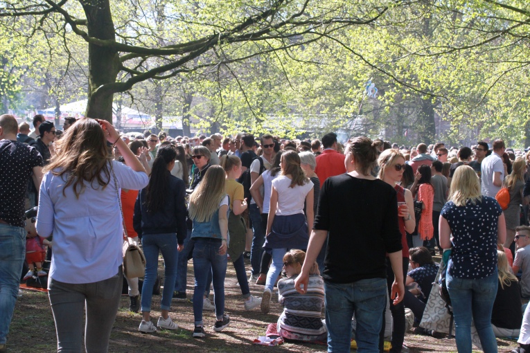 Bevrijdingspop Haarlem 2016 foto